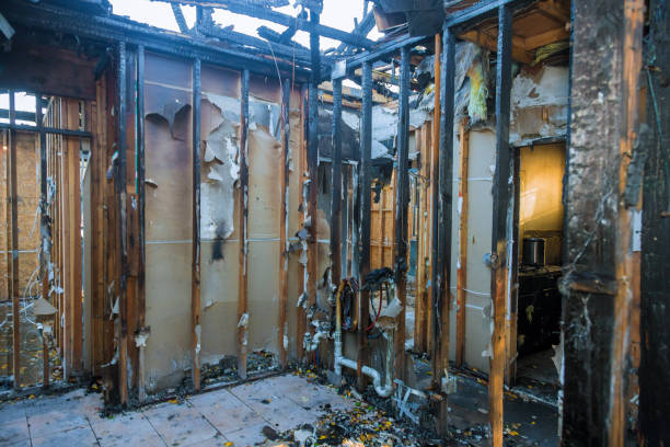 Professional Emergency Fire Cleanup technician working in Bargersville, IN